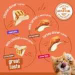 Turchicken Gravy Wet Cat Food Soft Variety Pack 5.5 oz Cans - Image 4