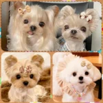 10/20/30PCS Dog Bows With Rubber Bands Handmade Brown Style Puppy Head Flower Handmade Pet Supplies For Dogs Bows Supplies - Image 3