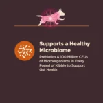 CORE Digestive Health Small Breed Adult Dry Dog Food, Wholesome Grain Kibble, Sensitive Stomach, Natural, High Protein, Chicken - Image 4