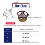 Dog Hat Dog Sunscreen Hat Baseball Cap Outdoor Sports Hat with Ear Holes Adjustable Pet Hat for Small and Medium Dog Large Dogs - Image 5