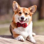 Adjustable Plaid Dog Bow Tie Cat Bowtie Soft Pet Neckwear for Small Medium Dogs Puppy Chihuahua Best Gift Idea - Image 4