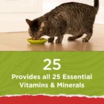 4 pack Cat Chow Naturals, Dry Cat Food, Chicken and Salmon, 6.3 lb Bag - Image 5