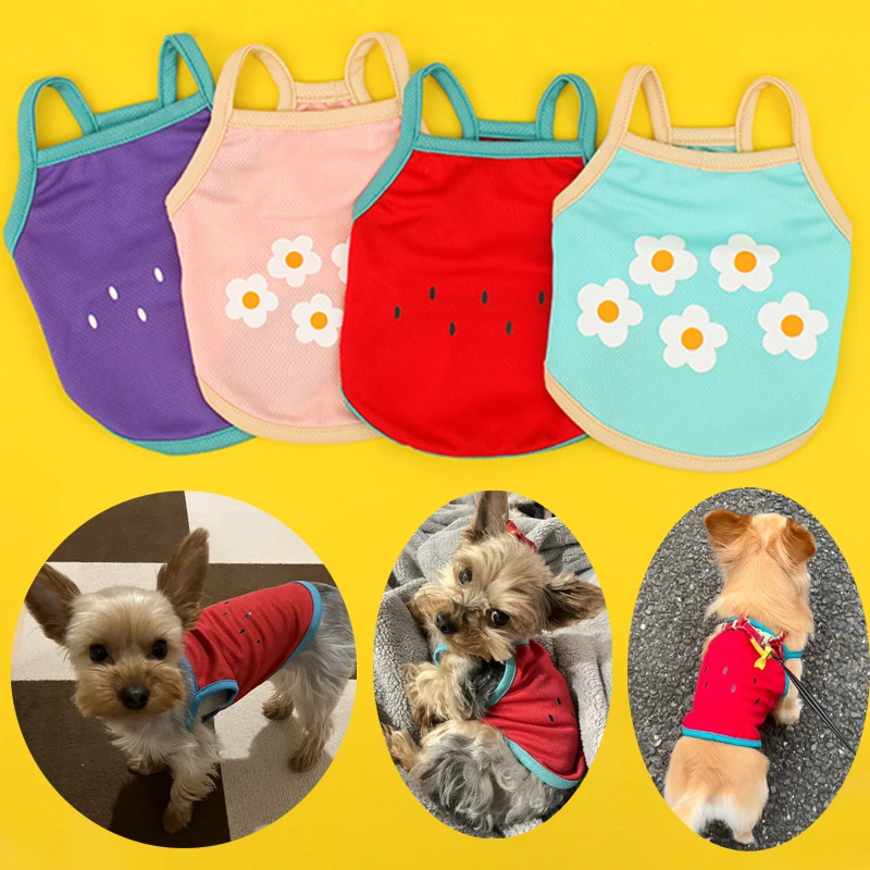 kf-Sff8908f6c06e4351ac310ff703228877i New Pet Cat Dog Vest Puppy Summer Clothes Breathable Mesh Solid Dog Suspendera Cute Dog Costume Bichon Chihuahua Vest Dresses - Image 1