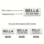 Personalized Cat Collar with Bell Buckle Customized Nametag Puppy Kitten Necklace Free Engraved name ID tag Nameplate - Image 6